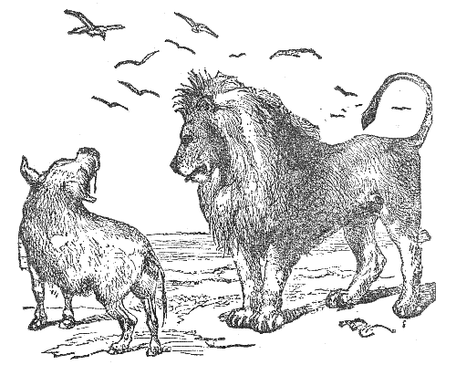 The Lion and the Wild Boar