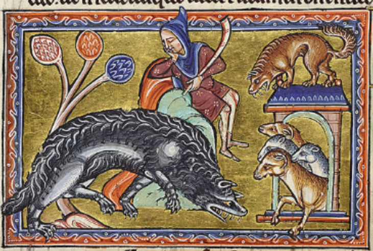 The Shortsighted Shepherd