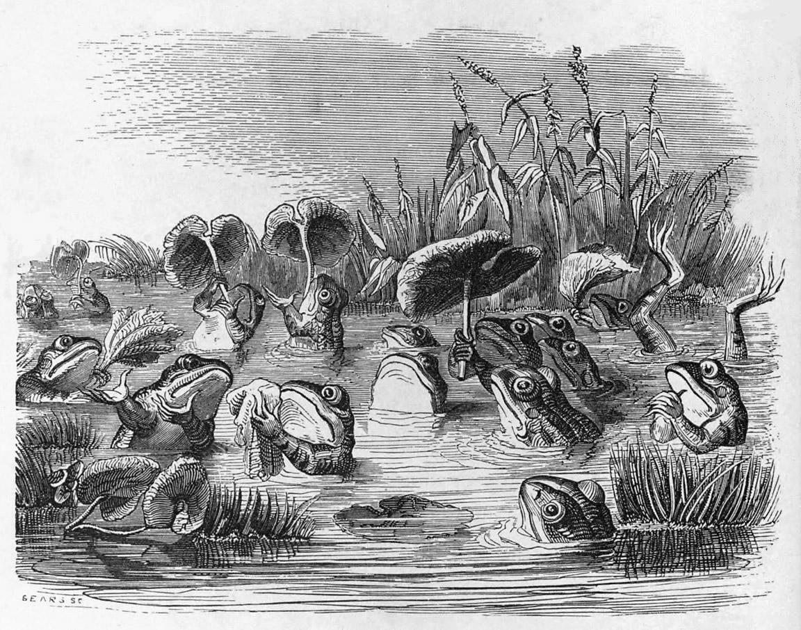 The Frogs Complain Against the Sun